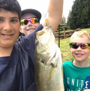 Meet your Posher, Michael